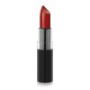 GOLDEN ROSE Vision Lipstick 113